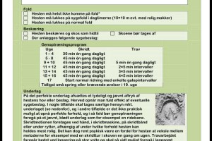 Genoptræningsplan
