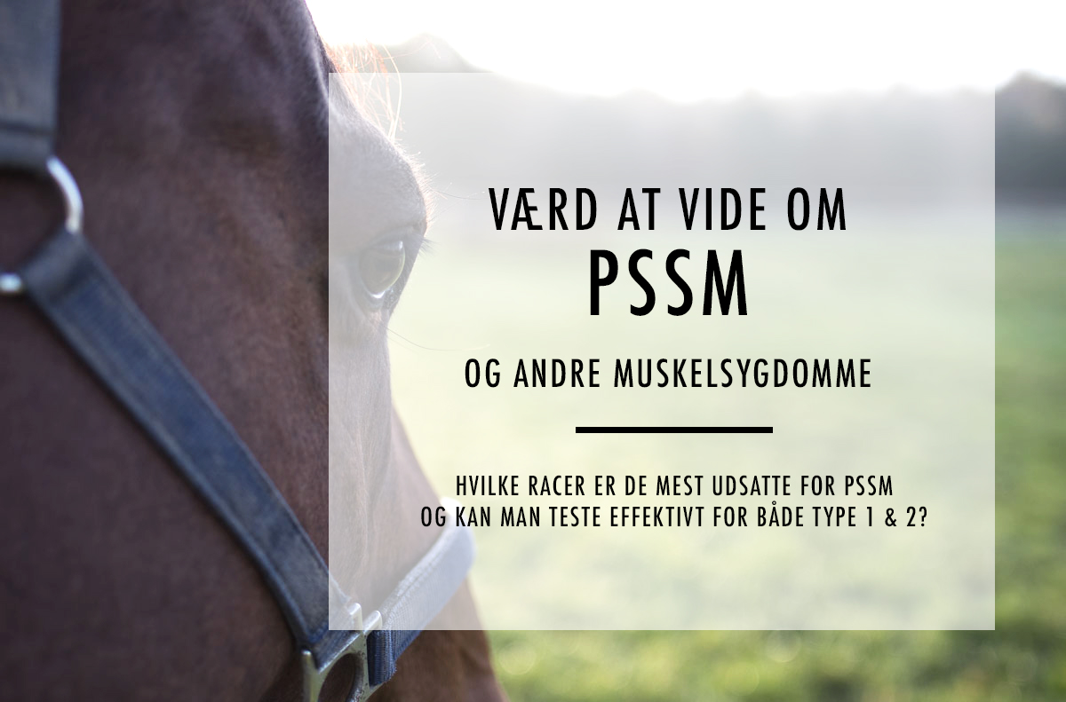 Værd at vide om pssm